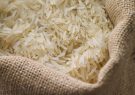 بیش از ۲۰۰ هزار تن برنج در حال فاسد شدن است