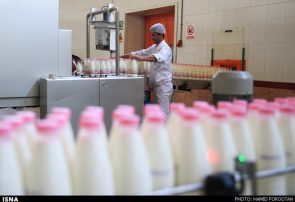آفلاتوکسینِ شیر در آمریکا ۵ برابرِ استانداردهای ایران است