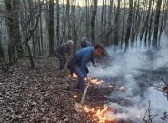 ۱۰ هکتار از اراضی ملی سیاهکل در آتش سوخت