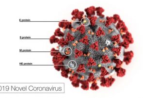 توصیه‌های طب‌ایرانی برای پیشگیری از ابتلا به ویروس کرونا