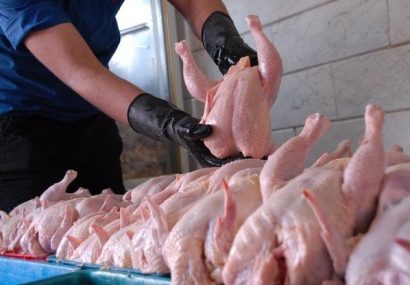 مرغ‌ را با قیمت بالاتر به استان‌های دیگر می‌فروشند