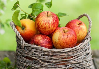 روزانه ۳۰۰۰ تن سیب از آذربایجان‌غربی صادر می‌شود